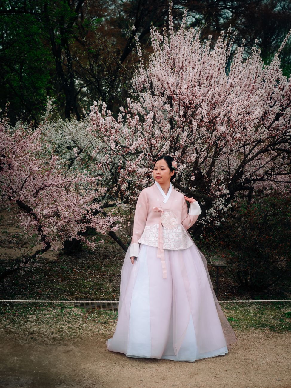 ảnh gái xinh mặc hanbok đẹp — ảnh 2
